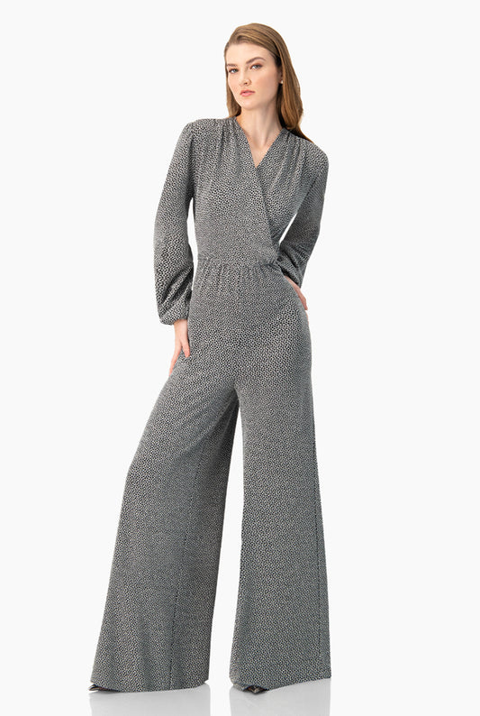 Jumpsuit plata con escote en V y mangas largas