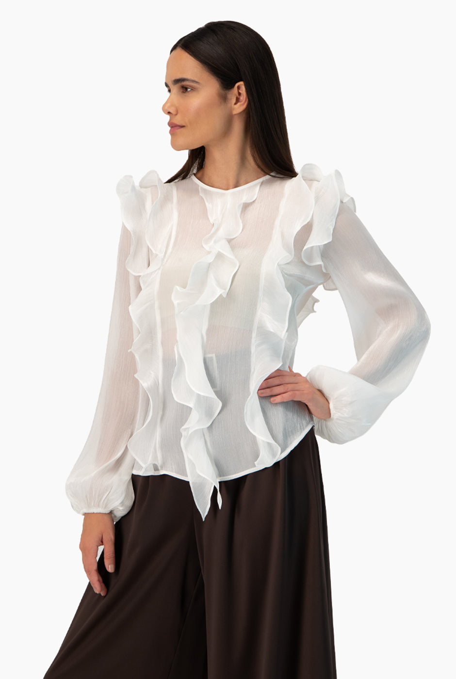 Blusa transparente de manga larga